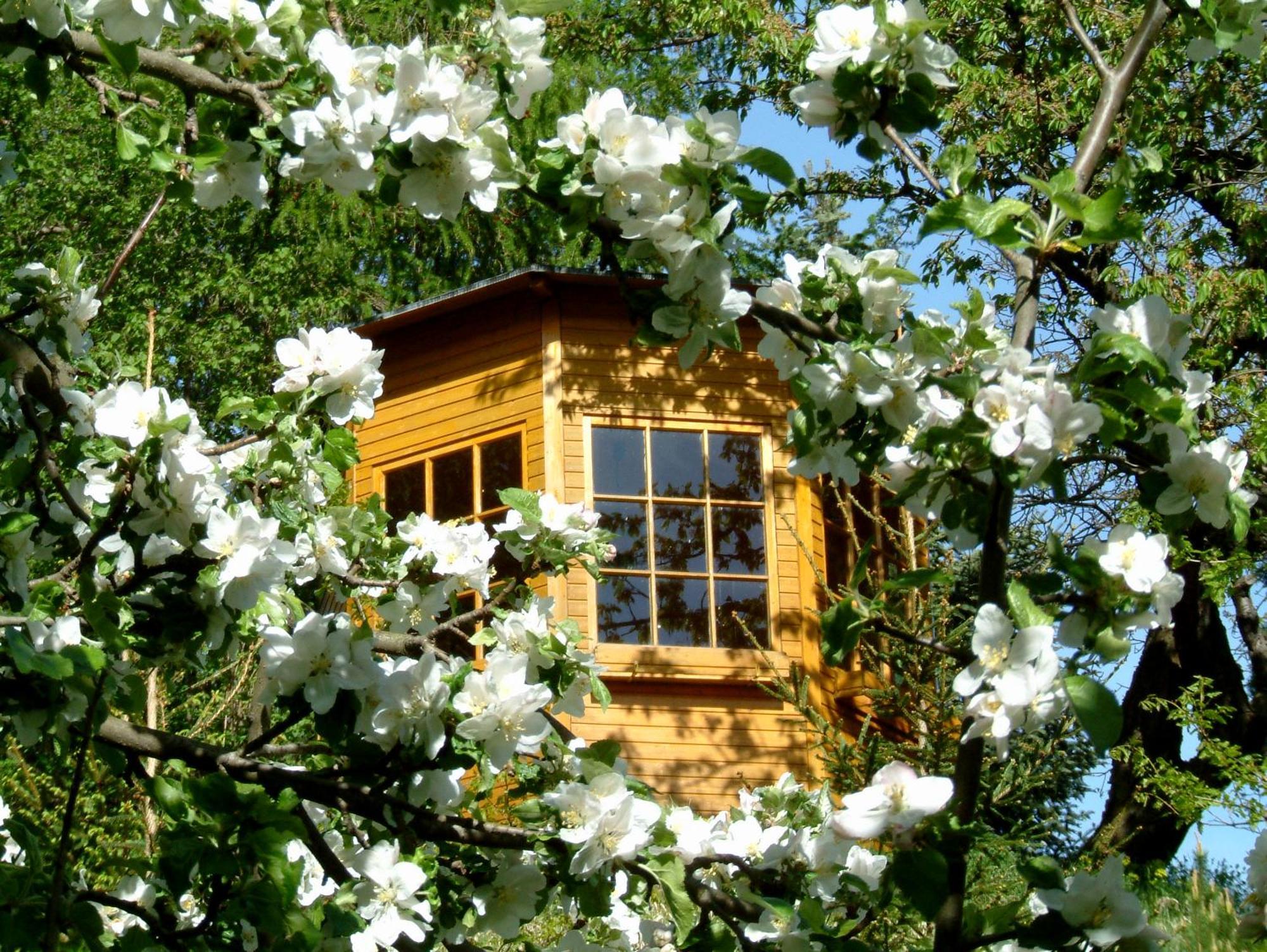 Holiday home Harzer Feriengarten
